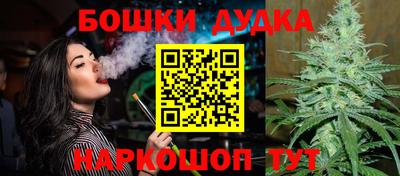 spice Кимры