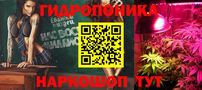 spice Кимры
