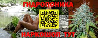 PSILOCYBIN Комсомольск-на-Амуре