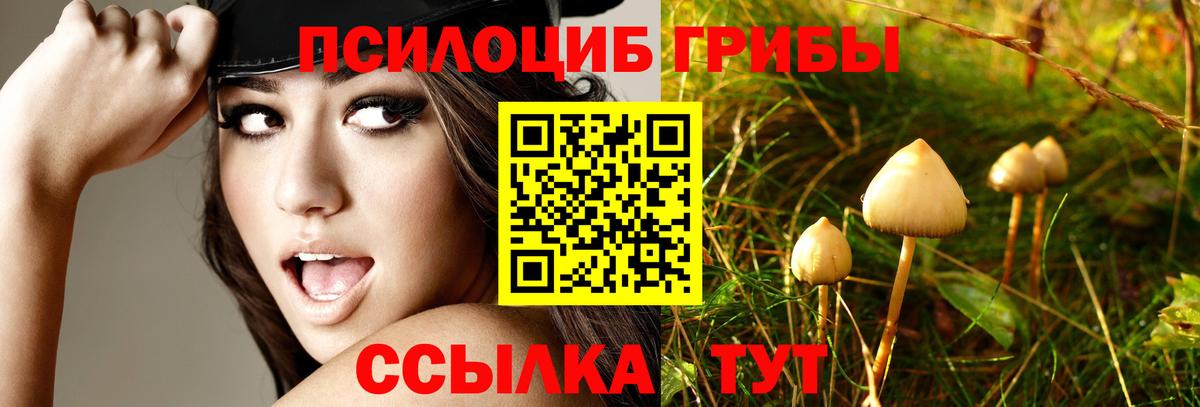 Псилоцибиновые грибы прущие грибы  цена наркотик  Кувандык  Вход с VPN 