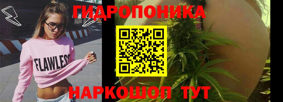 Бошки Шишки OG Kush Кувандык